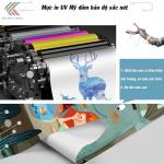 Rèm tranh cửa sổ hãng Fivestar mã HN0012