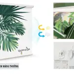 Rèm tranh cửa sổ hãng Fivestar mã HN0012