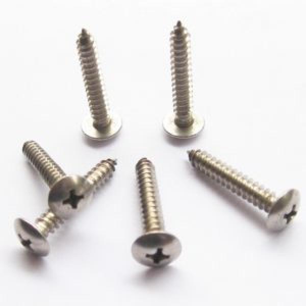 Vít gỗ đầu dù inox
